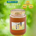 【ふるさと納税】日本蜜蜂「ささぐり里山のはちみつ」(百花蜜)1000g 蜂蜜 ハチミツ 国産 日本製 国産蜂蜜 国産ハチミツ 健康 健康食品 瓶 無添加 無農薬 非加熱 純度100% 国産天然蜂蜜 国産非加熱はちみつ 国産無添加はちみつ 生はちみつ 純粋はちみつ 送料無料 AA002