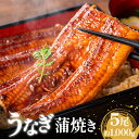 【ふるさと納税】うなぎ 蒲焼 5尾 約1000g タレ付 ウナギ 鰻 うなぎ 送料無料 冷凍 RZ001