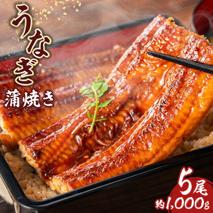 うなぎ 蒲焼 台湾 中国産 5尾 約1000g 1kg タレ付 タレ ウナギ 鰻 うなぎ 蒲焼き かばやき かば焼き 冷凍 真空パック 丑の日 ひつまぶし うな重 うな丼 お茶漬け 食品 加工食品 魚介 水産加工品 国内製造 取り寄せ お取り寄せグルメ グルメ 送料無料 RZ003