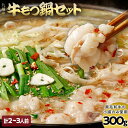 【ふるさと納税】 もつ鍋セット 2〜3人前 醤油味 ホルモン小腸 もつ 小腸 300g 九州産 国産 ホルモン スープ ちゃんぽん ごま 鷹の爪 ごま油 セット...
