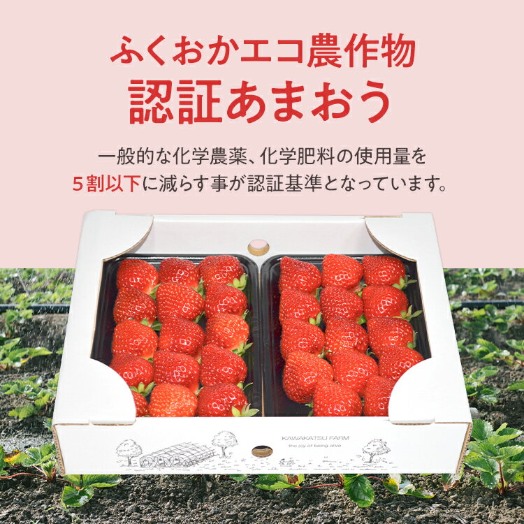 福岡県志免町の画像2