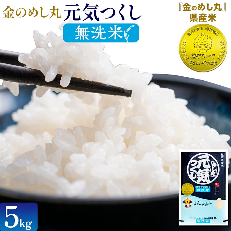 [無洗米]金のめし丸 元気つくし 精米 5kg 米 無洗米 元気つくし 森光商店 老舗 福岡 お米 ごはん ご飯 お弁当 おにぎり 金のめし丸県産米 福岡ブランド米 めし丸 志免 志免町 福岡県