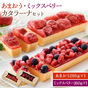 【ふるさと納税】あまおう・ミックスベリーカタラーナセット スイーツ カタラーナ 2種 あまおうカタラーナ 285g×1 ミックスベリーカタラーナ 260g×1 冷凍 西通りプリン デザート 洋菓子 おやつ お菓子 アイスデザート