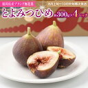 【ふるさと納税】 期間限定 いちじく 「とよみつひめ」 1.2kg 福岡県産ブランド フルーツ 無花果 (約300g×4パック) 1200g 返礼品 お取り寄せ...