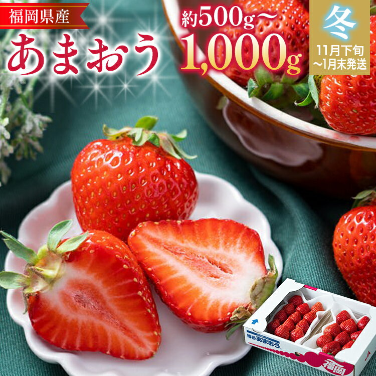 【ふるさと納税】福岡産【冬】あまおう いちご 苺 果物 フル
