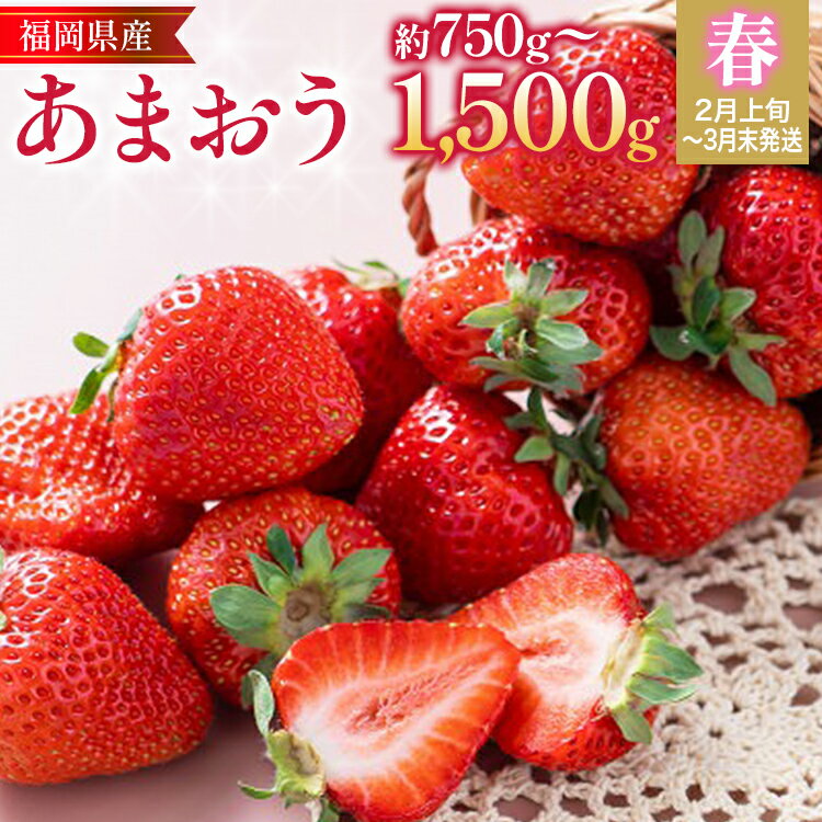 【ふるさと納税】福岡産【春】あまおう いちご 苺 果物 フル