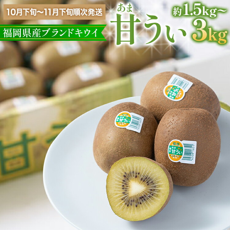 【ふるさと納税】 期間限定 福岡県産ブランドキウイ「甘うぃ」美容 健康 ビタミンC キウイフルーツ 1.5kg 3kg