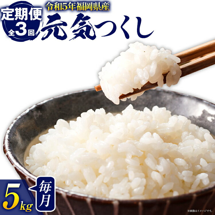 [3ヶ月 定期便] 元気つくし 合計15kg 5kg×3回 白米 お米 ご飯 米 精米 送料無料 お取り寄せグルメ お取り寄せ 福岡 お土産 九州 福岡土産 取り寄せ グルメ 福岡県