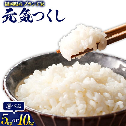 令和5年度産 福岡県産 元気つくし 5kg 1袋 10kg(5kg×2袋) 白米 お米 ご飯 米 精米 送料無料 お取り寄せグルメ お取り寄せ 福岡 お土産 九州 福岡土産 取り寄せ グルメ 福岡県