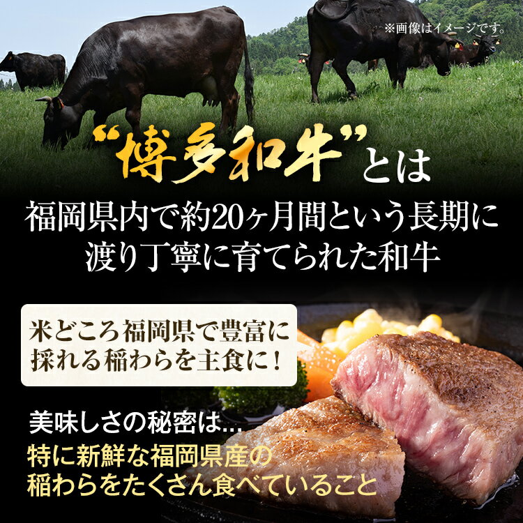 �ڤդ뤵��Ǽ�ǡۡڸ����������̡ۡ�A4��A5����¿�µ��ߥ������ơ��� ��300g ��500g ��1kg �����µ� �����󤻥���� ������ ���ڻ� �彣 ʡ���ڻ� ���� �����