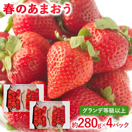 【ふるさと納税】【2026年発送先行予約】春のあまおう(G規格以上約280g x 4パック) お取り寄せグルメ お取り寄せ 福岡 お土産 九州 福岡土産 取り寄せ グルメ 福岡県 【ふるさと納税】【2026年発送先行予約】春のあまおう(G規格以上約280g x 4パック) お取り寄せグルメ お取り寄せ 福岡 お土産 九州 福岡土産 取り寄せ グルメ 福岡県
