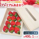 【ふるさと納税】【2026年発送先行予約】ティッシュボックス用特別仕様の桐箱入りプレミアムあまおう あまおうEX400gx1パック ギフト、お祝い、贈答用 お取り寄せグルメ お取り寄せ 福岡 お土産 九州 福岡土産 取り寄せ グルメ 福岡県