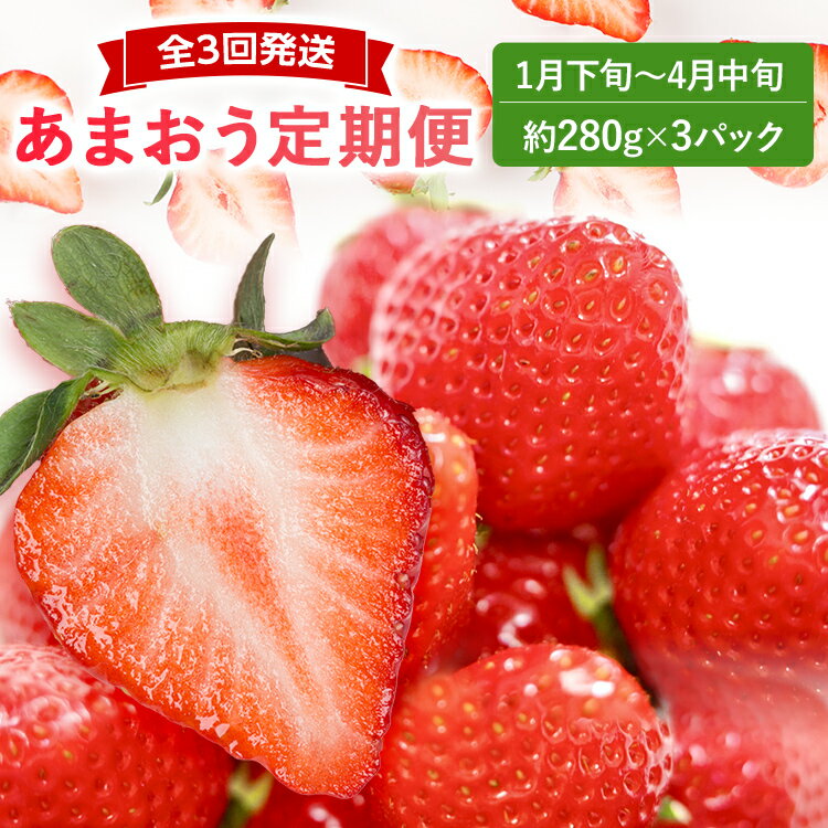 [2026年先行いちご定期便]あまおう3パックx3回(1月下旬〜、2月〜、3月〜発送) お取り寄せグルメ お取り寄せ 福岡 お土産 九州 福岡土産 取り寄せ グルメ 福岡県