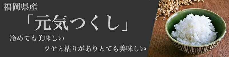 【ふるさと納税】〈ポストイン返礼品〉 2合(300g)パック 福岡県産ブランド米 元気つくし R5年度産 SF044-0【 福岡県 須恵町 】