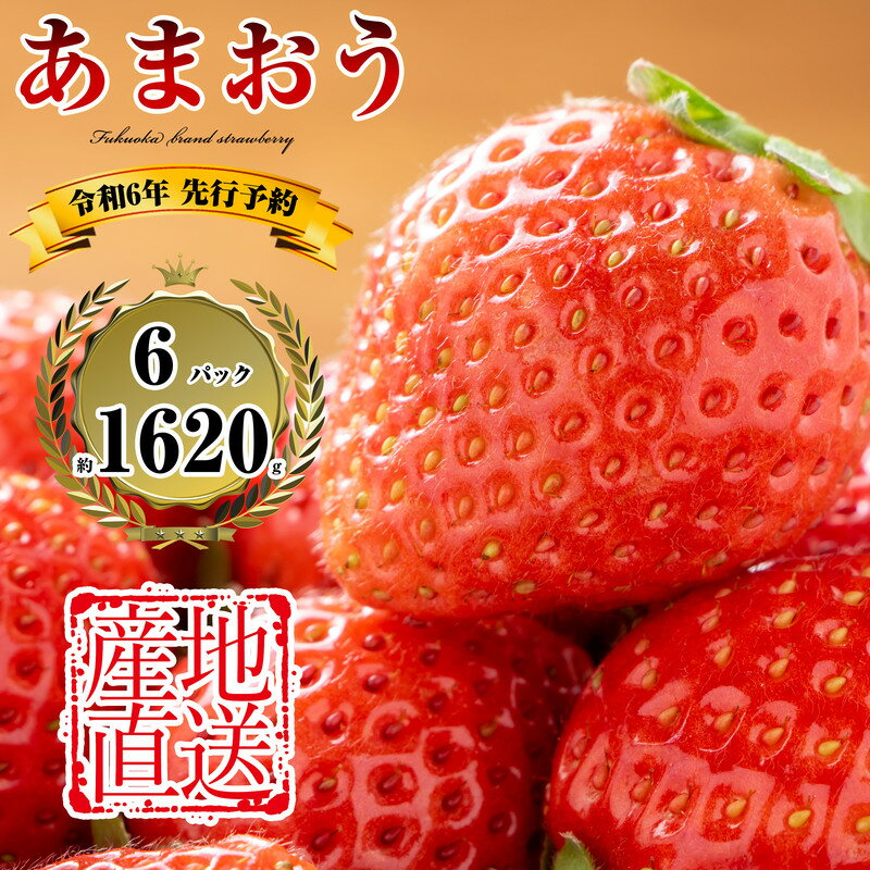 [100件限定] 2024年4月末までに発送 農家直送 福岡県産 いちご あまおう 270g×6パック SE1008-19[福岡県 須恵町]