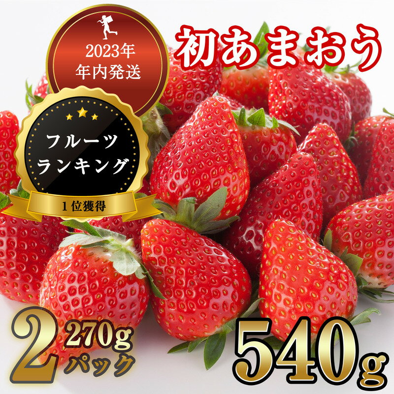 【ふるさと納税】【年内お届け】【数量100件限定】福岡県産 初あまおう 540g (270g平パック×2パック) TY001-1【福岡県 須恵町】のサムネイル