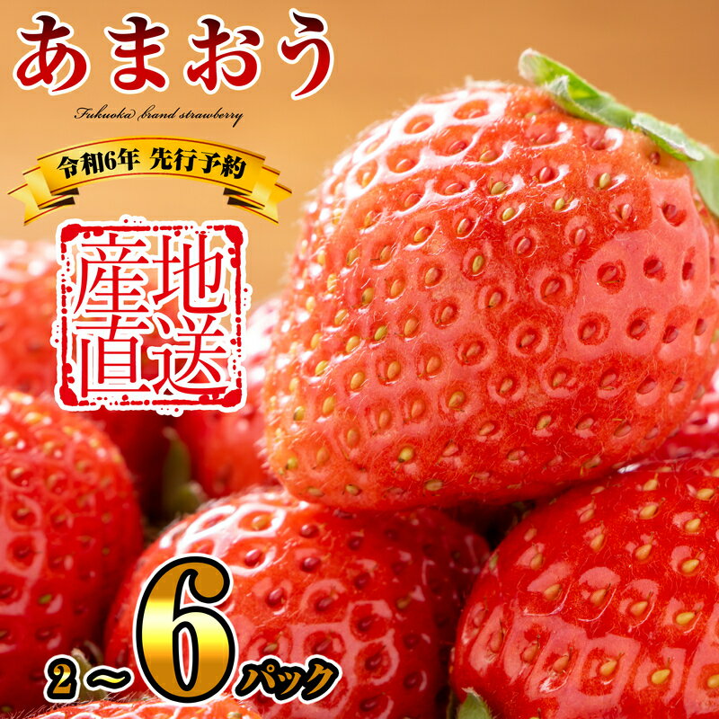 【ふるさと納税】アフター保証 福岡県産あまおう 6パック 2パック 2024年2月下旬より発送開始 5,000円以下 10,000円 博多 福岡県 あまおう SF046-0 楽天限定【福岡県 須恵町】