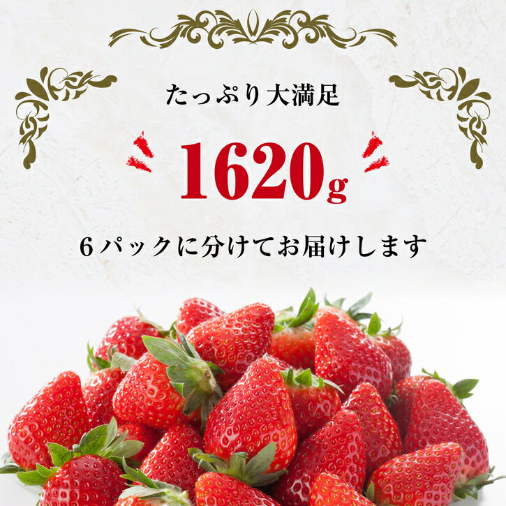 【ふるさと納税】 270g×6パック 【2025年(令和7年)先行予約】 農家直送 福岡県産 いちご あまおう TY011-1【福岡県 須恵町】