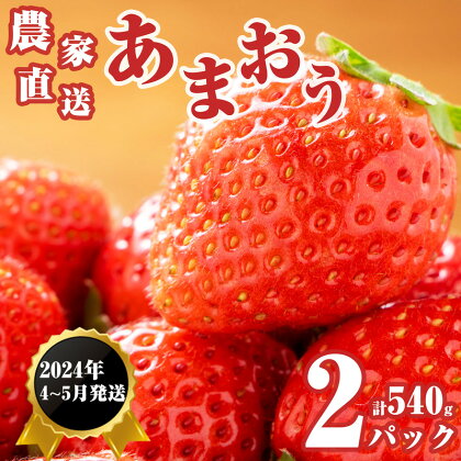 【100件限定】2024年4月中旬～5月末までに発送 福岡県産 農家直送 あまおう 270g 以上 2パック TY010-1【福岡県 須恵町】