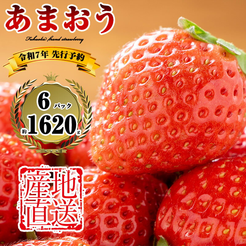 270g×6パック [2025年(令和7年)先行予約] 農家直送 福岡県産 いちご あまおう TY011-1[福岡県 須恵町]