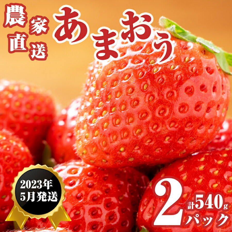 【ふるさと納税】2023年5月発送 福岡県産　農家直送　あまおう540g(270g平パック×2パック) SE0605-253【福岡県 須恵町】のサムネイル