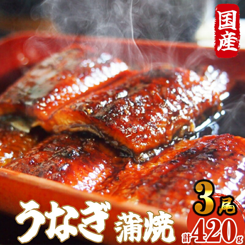 【ふるさと納税】《 国産 》 ふっくら 肉厚 うなぎ蒲焼 3