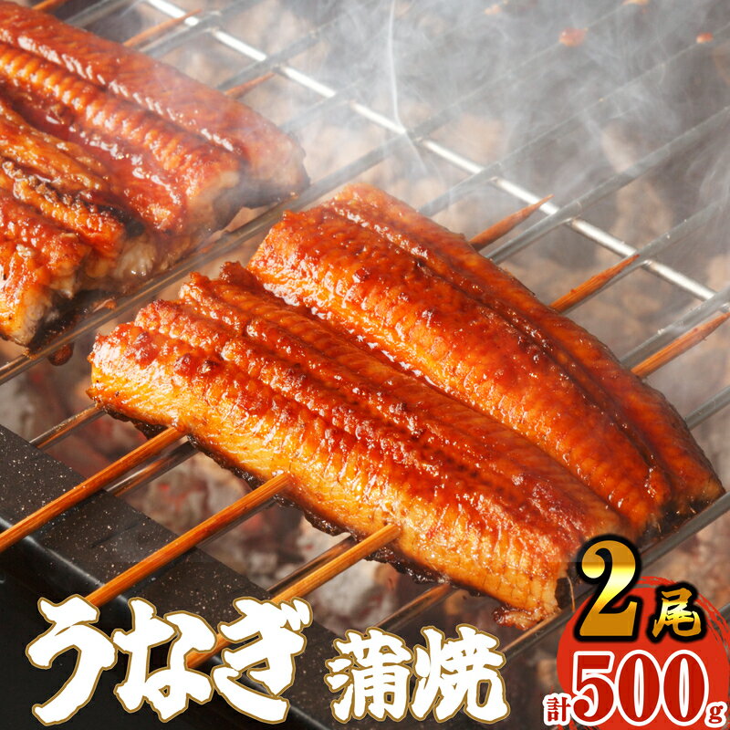 3位! 口コミ数「64件」評価「4.64」ふっくら肉厚 うなぎ蒲焼 2尾 500g 小分け 真空 SF010-2【 福岡県 須恵町 】