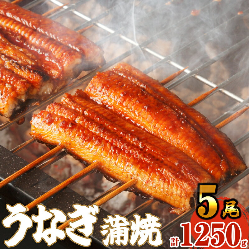 【ふるさと納税】ふっくら肉厚うなぎ蒲焼5尾 SF011-2【 福岡県 須恵町 】