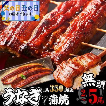  ふっくらジューシー 無頭うなぎ蒲焼 1尾当たり約350g 選べる 配送時期 定期便 小分け 真空 特大 訳あり 鰻 SF052-0