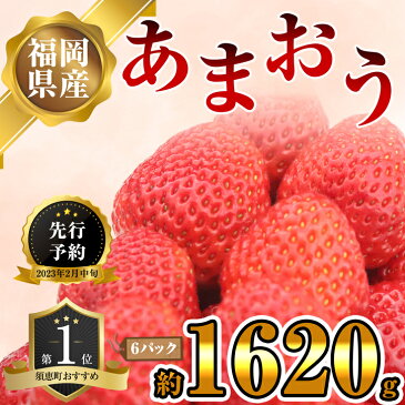 【ふるさと納税】2023年発送　先行予約　 福岡県産あまおう1620g以上（270g以上平パック×6パック）2023年先行予約 SE1205-164【福岡県 須恵町】あまおう あまおう苺　いちご　イチゴ　6パック　期間限定 増量