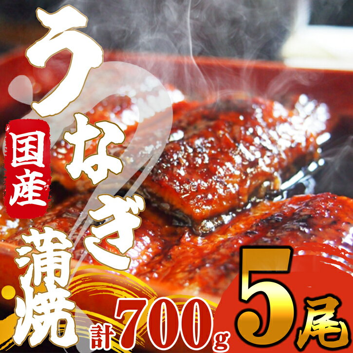 【ふるさと納税】《 国産 》 ふっくら 肉厚 うなぎ蒲焼 5