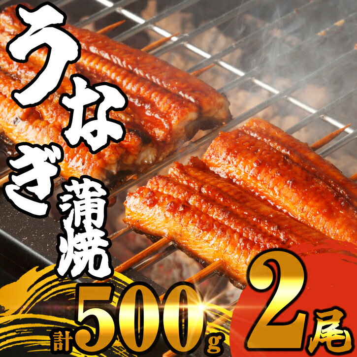 【ふるさと納税】ふっくら肉厚うなぎ蒲焼2尾 SE0705-227【 福岡県 須恵町 】のサムネイル