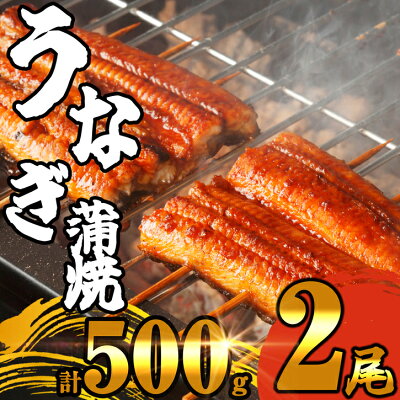 楽天ふるさと納税　【ふるさと納税】ふっくら肉厚 うなぎ蒲焼 2尾 500g 小分け 真空 SF010-1【 福岡県 須恵町 】