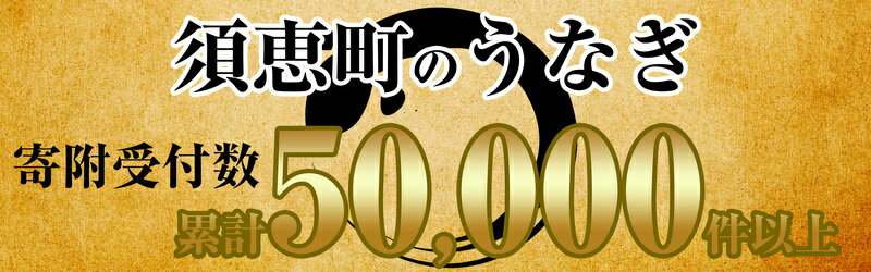 【ふるさと納税】ふっくら肉厚 うなぎ蒲焼 2尾 500g 小分け 真空 SF010-2【 福岡県 須恵町 】