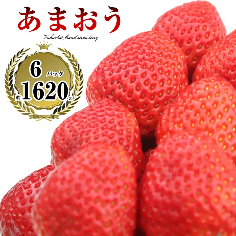 【ふるさと納税】年末年始数量限定 6パック 1620g以上 福岡県産あまおう （270g以上平パック×6パック）先行予約 SE1005-192【福岡県 須恵町】