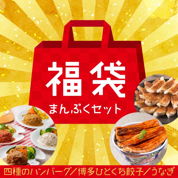 【ふるさと納税】新宮町福袋【まんぷくセット】 ハンバーグ4種