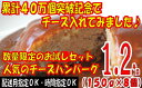 【ふるさと納税】Z106.累計40万個突破記念!お試し1.2...