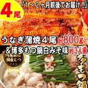 【ふるさと納税】うなぎの蒲焼4尾&博多もつ鍋白みそ味(3人前)【スタミナ満点セット】鰻 たれ 山椒 牛もつ 国産 ホルモン 牛小腸 ちゃんぽん麺 .BD017