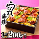 【ふるさと納税】うなぎの蒲焼1尾(計200g以上)『1~2ヶ月前後でお届け!!』 鰻 たれ 山椒.ZF120