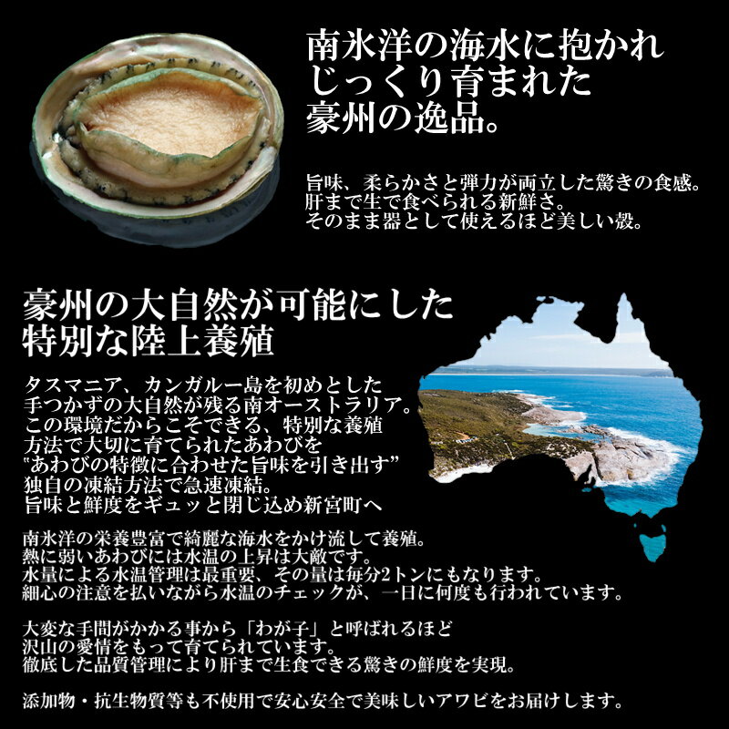 【ふるさと納税】刺身用あわび4粒（計約400g）アワビ 鮑 ステーキ 高級料亭 美食あわび.AB295