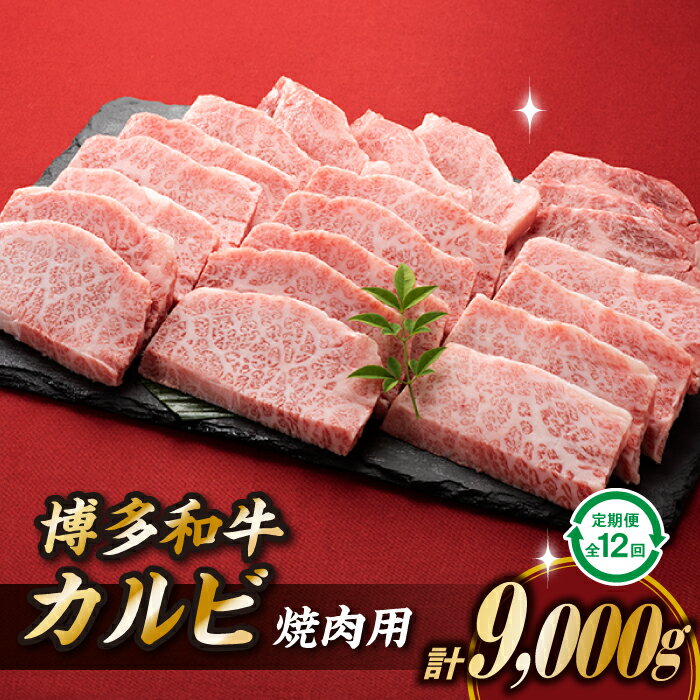 【ふるさと納税】博多和牛カルビ焼肉(定期便:全12回).K037