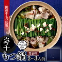 【ふるさと納税】【海千】もつ鍋2〜3人前セット(醤油味)国産 ホルモン 牛小腸 ちゃんぽん麺 AF048.