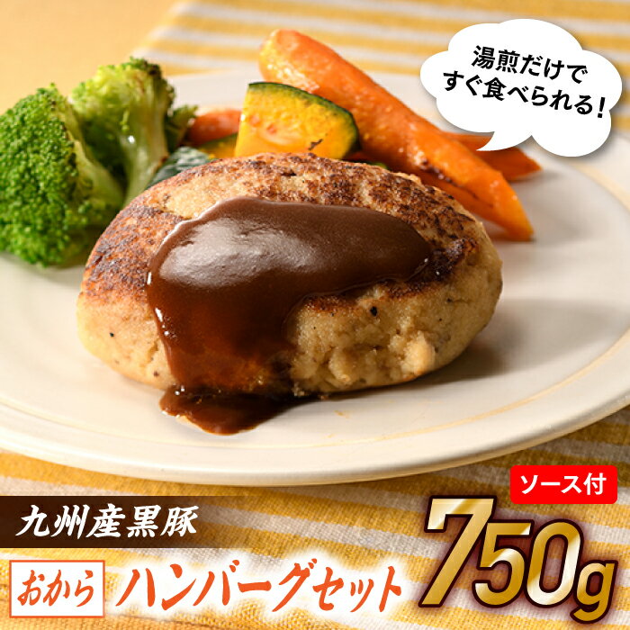 九州産黒豚おからハンバーグセット 国産 手ごね 湯せん 簡単 個包装 冷凍 .