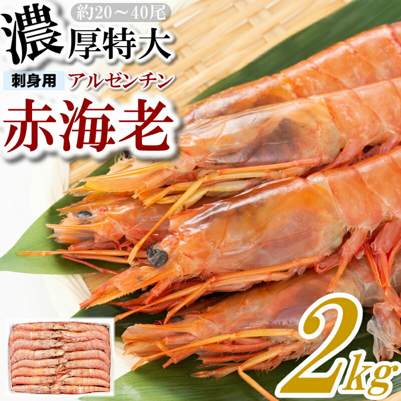 【ふるさと納税】【お刺身用】赤海老 アルゼンチン赤海老 2キロ 約20尾～40尾 生食可能 刺身 バーベキュー 海鮮 有頭…