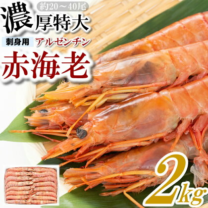 【お刺身用】赤海老 アルゼンチン赤海老 2キロ 約20尾～40尾 生食可能 刺身 バーベキュー 海鮮 有頭 特大.AB345