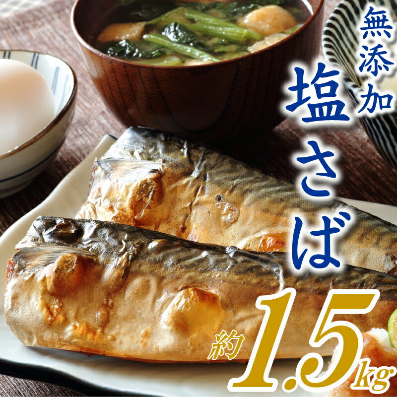 バラ凍結で便利!塩さば(約1.5kg) 無添加 塩サバ バラ凍結 大容量 鯖 さば お弁当