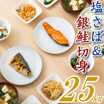 バラ凍結で便利！塩さば＆銀鮭ミックス（合計約2.5kg） 銀鮭 切身 無添加 塩サバ バラ凍結 大容量 鮭 さけ 鯖 さば お弁当.AB346