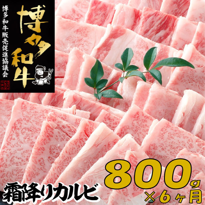 【博多和牛】A4・A5等級こくうま霜降りカルビ焼肉800g×6か月定期便.J079