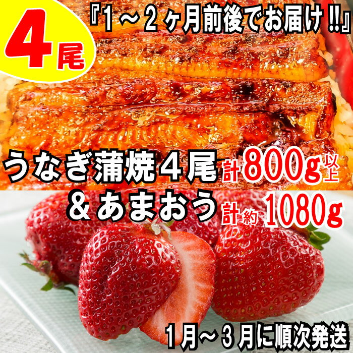 うなぎの蒲焼4尾&いちごの王様あまおう1080g[新宮町ミラクルセット] 鰻 たれ 山椒 苺 高級 フルーツ 