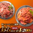 【ふるさと納税】塩レモン・にんにく味噌牛タンスライスセット【焼肉用】(計1200g).B300